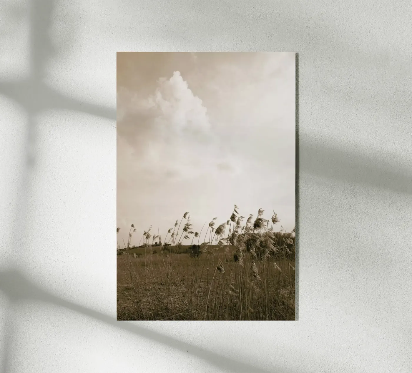 Lagom Mood plexiglass da XOXO Arte