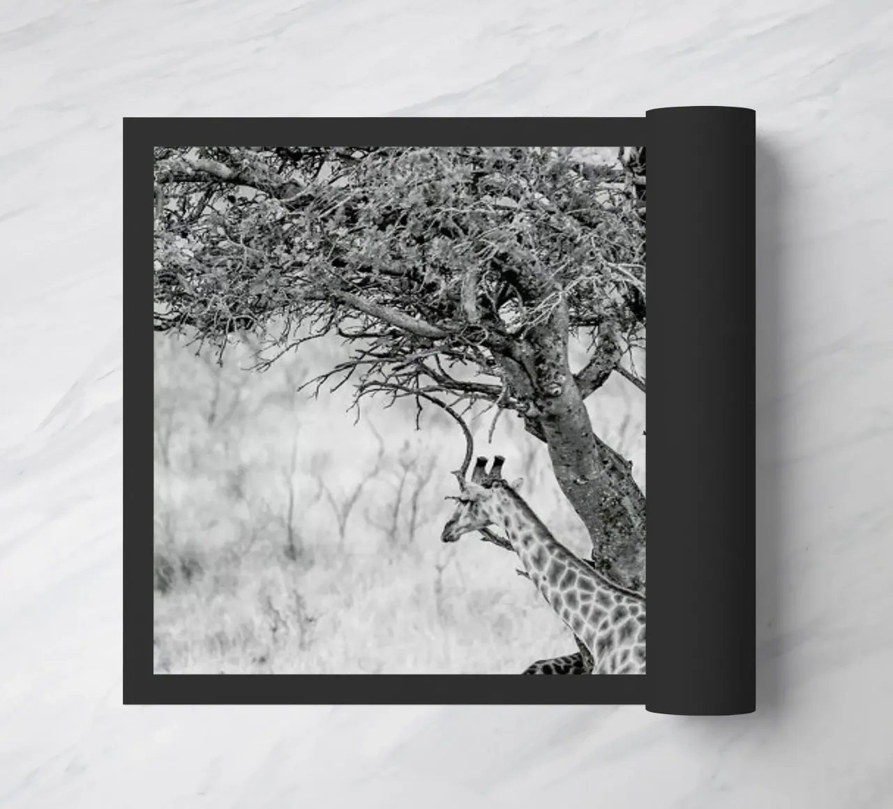 Lovers zerbino da Shot By Clint