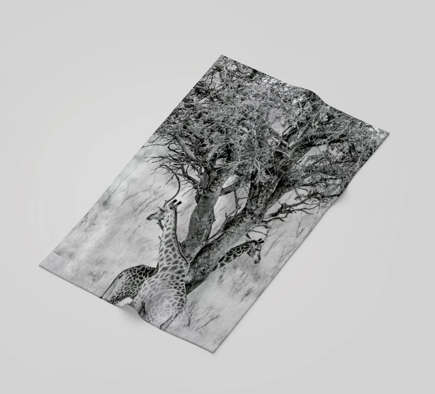 Lovers telo mare da Shot By Clint