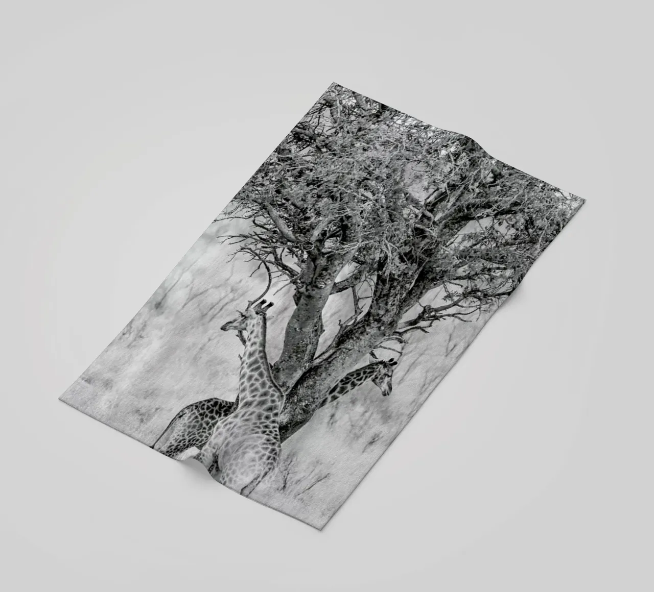 Lovers telo mare da Shot By Clint