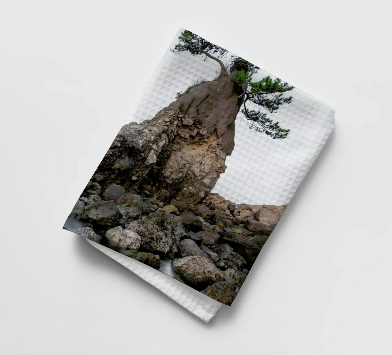 Ōita Tree | Japan canovaccio da cucina da Håggard Photography | Ronny Behnert