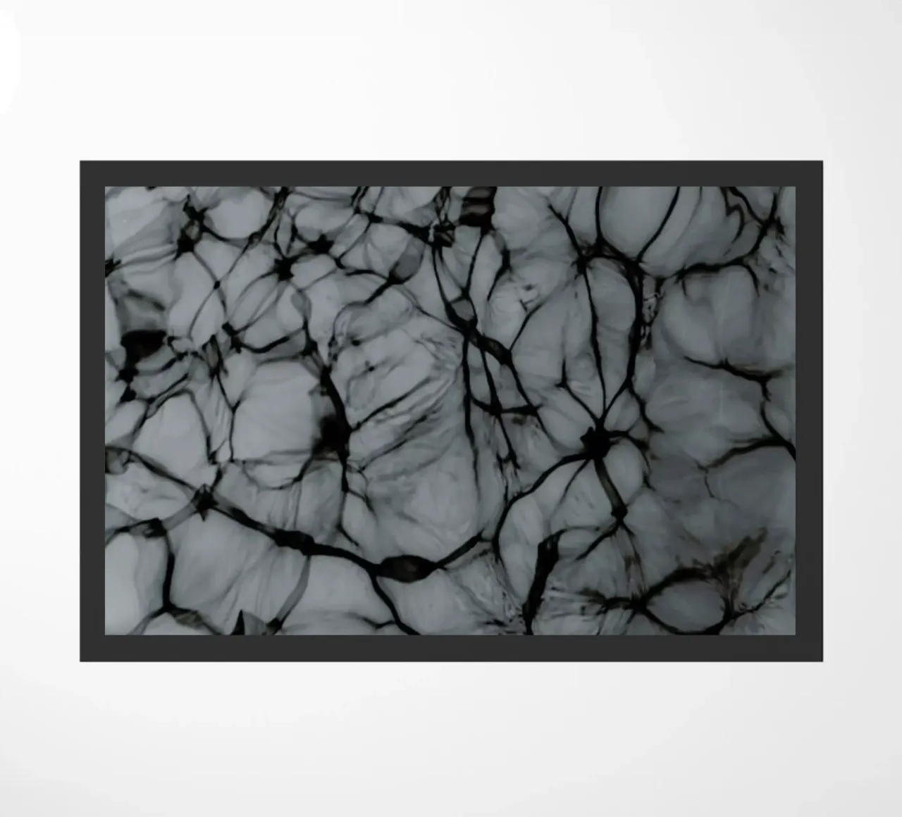 Abstract Life II zerbino da Studio Nahili