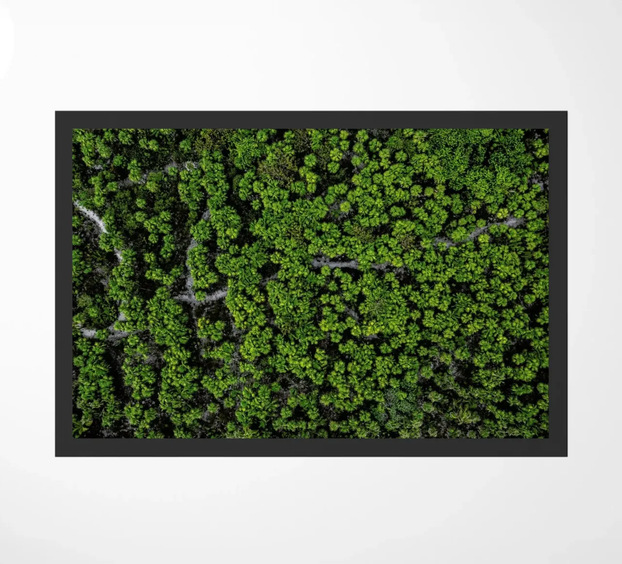 Ka'An zerbino da ROBERTO H