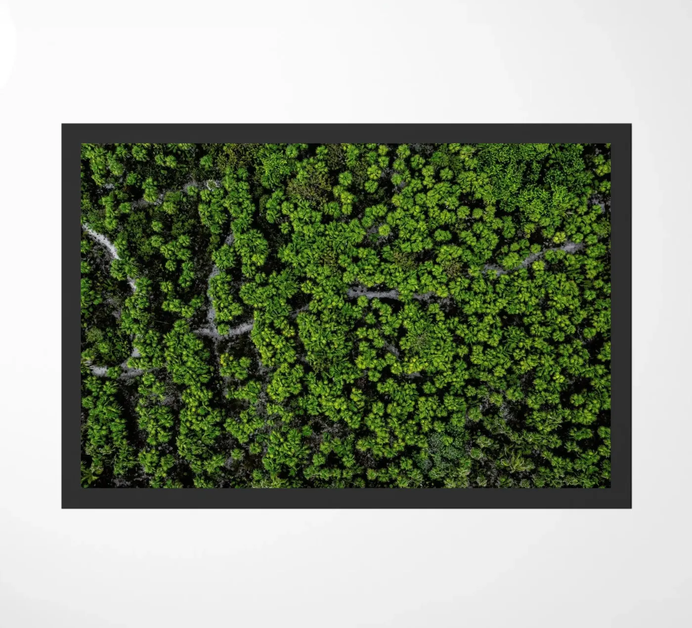 Ka'An zerbino da ROBERTO H