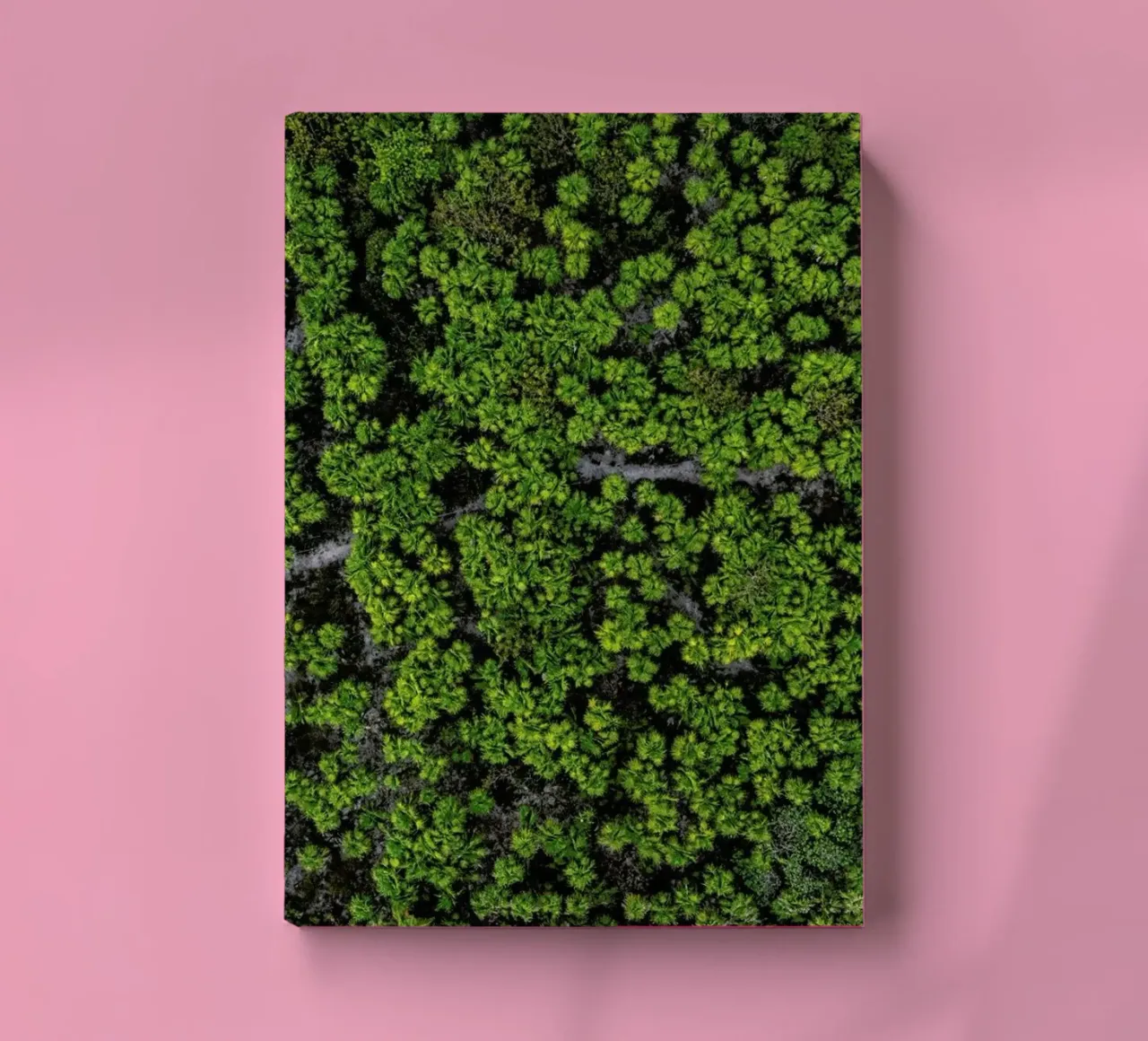 Ka'An notebook by ROBERTO H