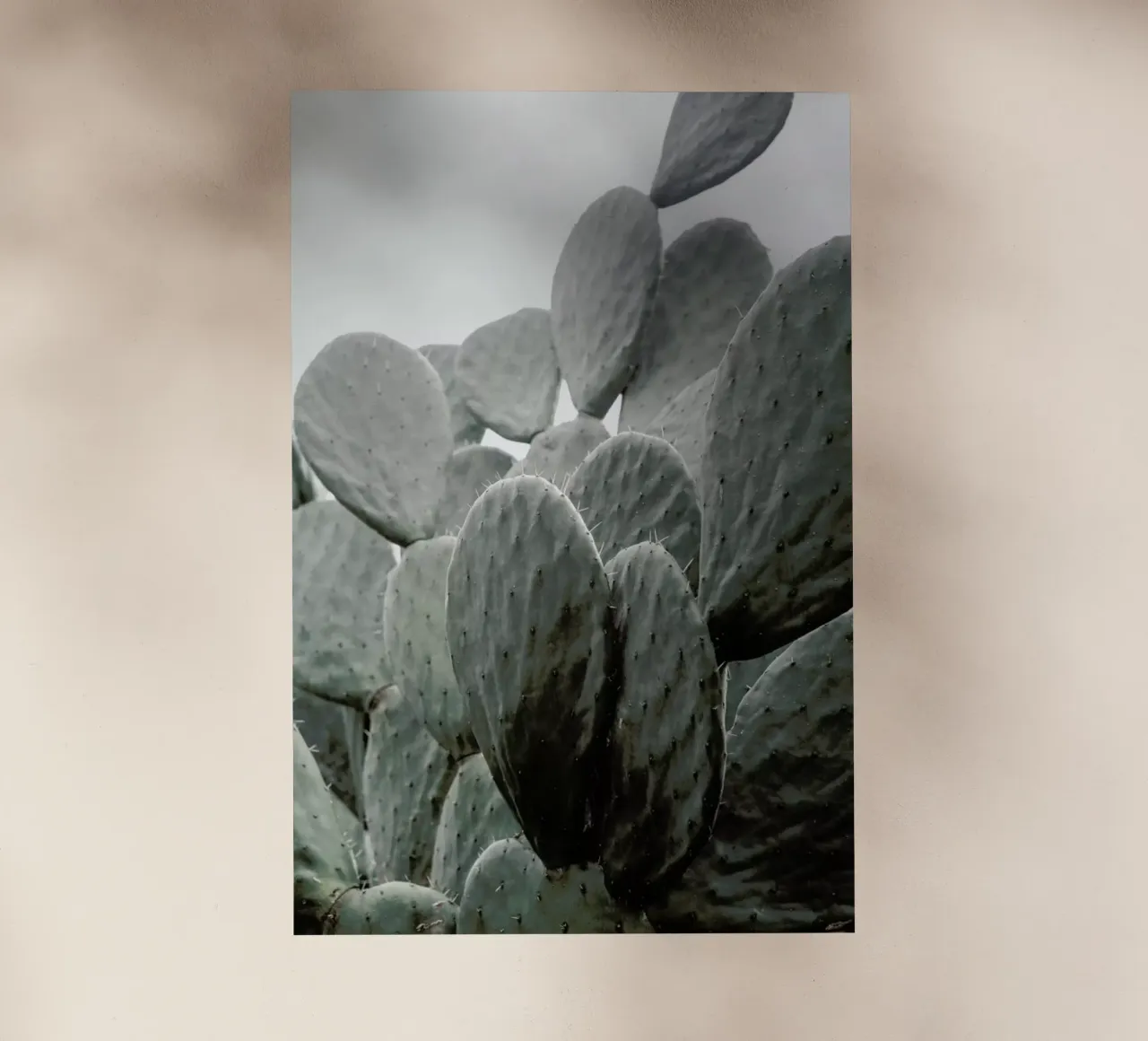 Wilder pellicola backlit da Shot By Clint