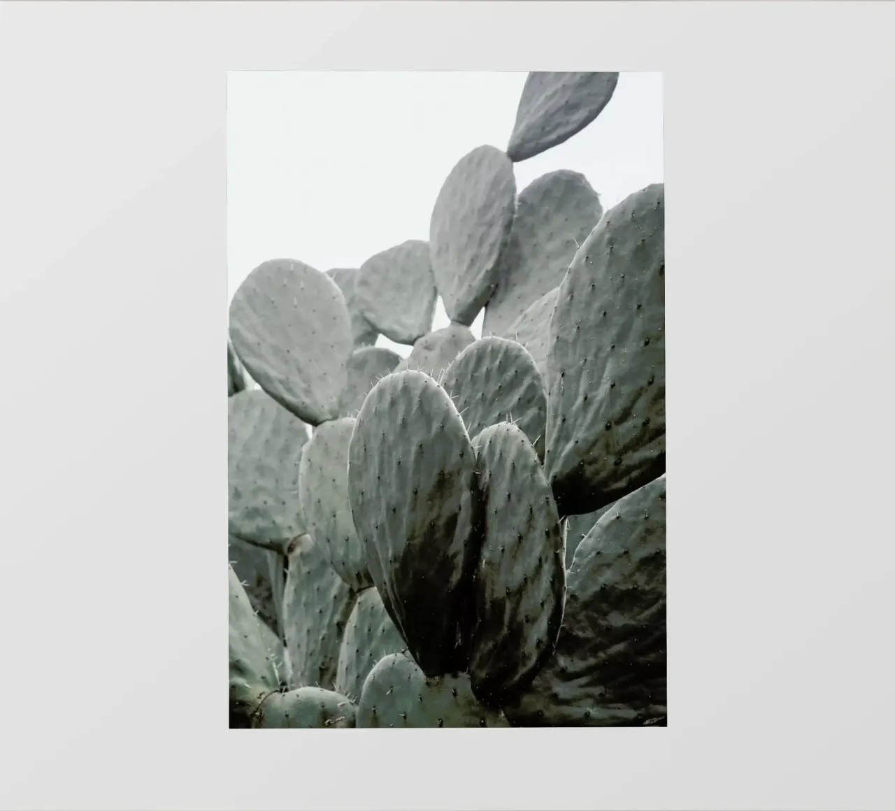 Wilder pellicola backlit da Shot By Clint