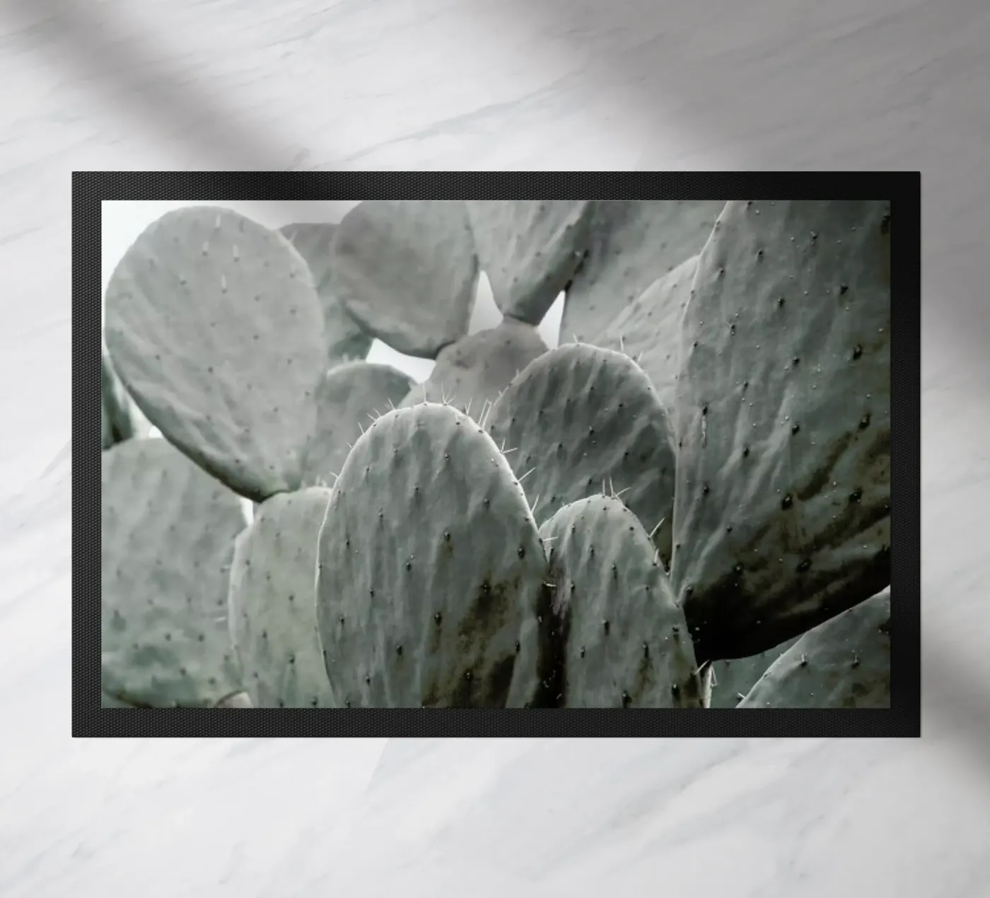 Wilder zerbino da Shot By Clint