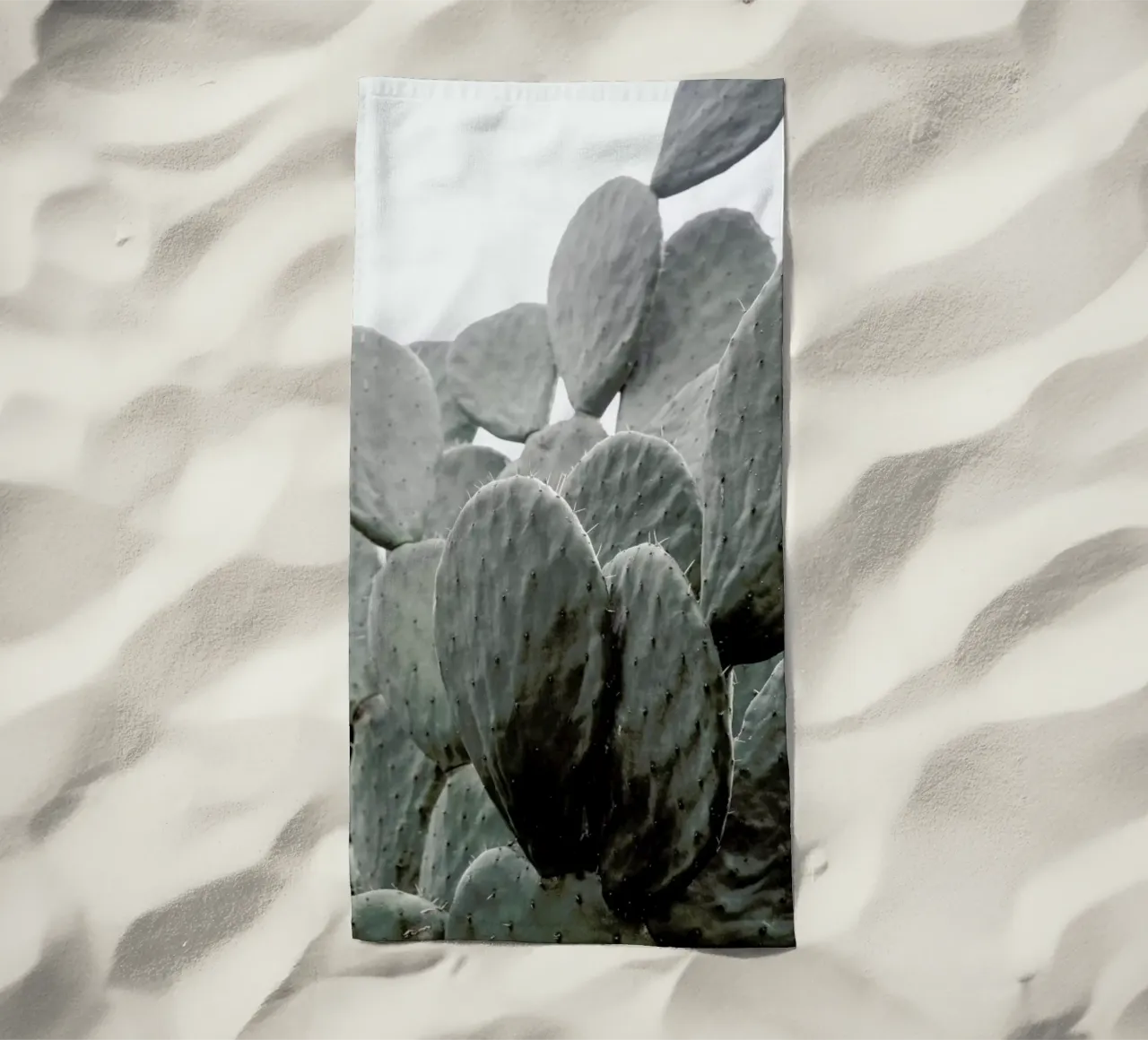 Wilder telo mare da Shot By Clint