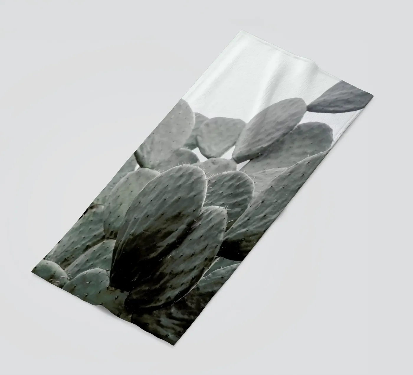 Wilder telo mare da Shot By Clint