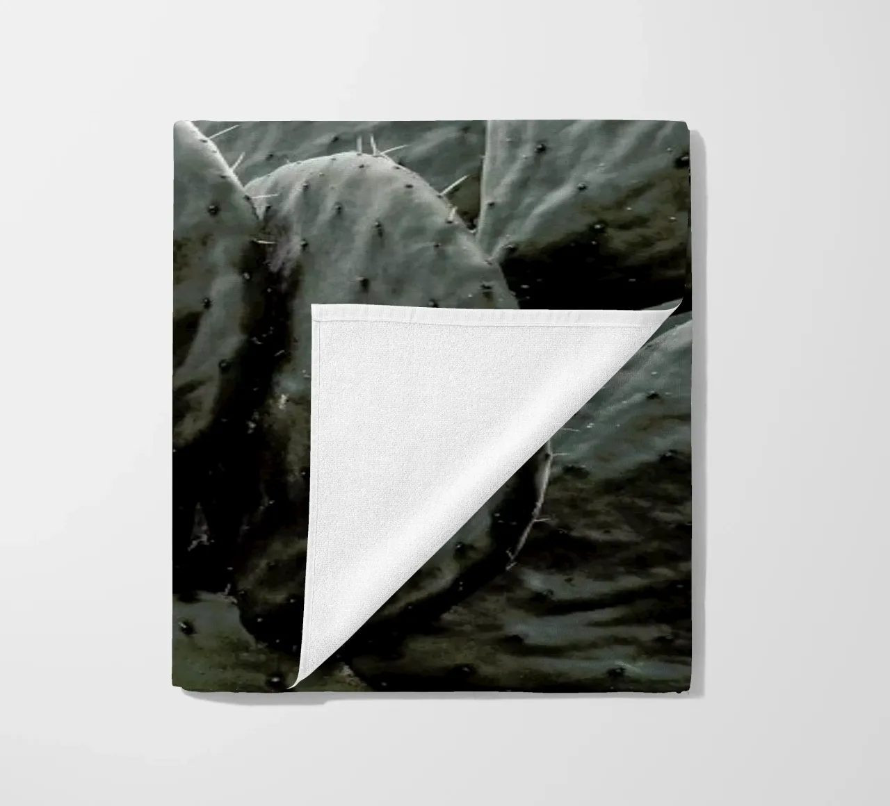 Wilder telo mare da Shot By Clint