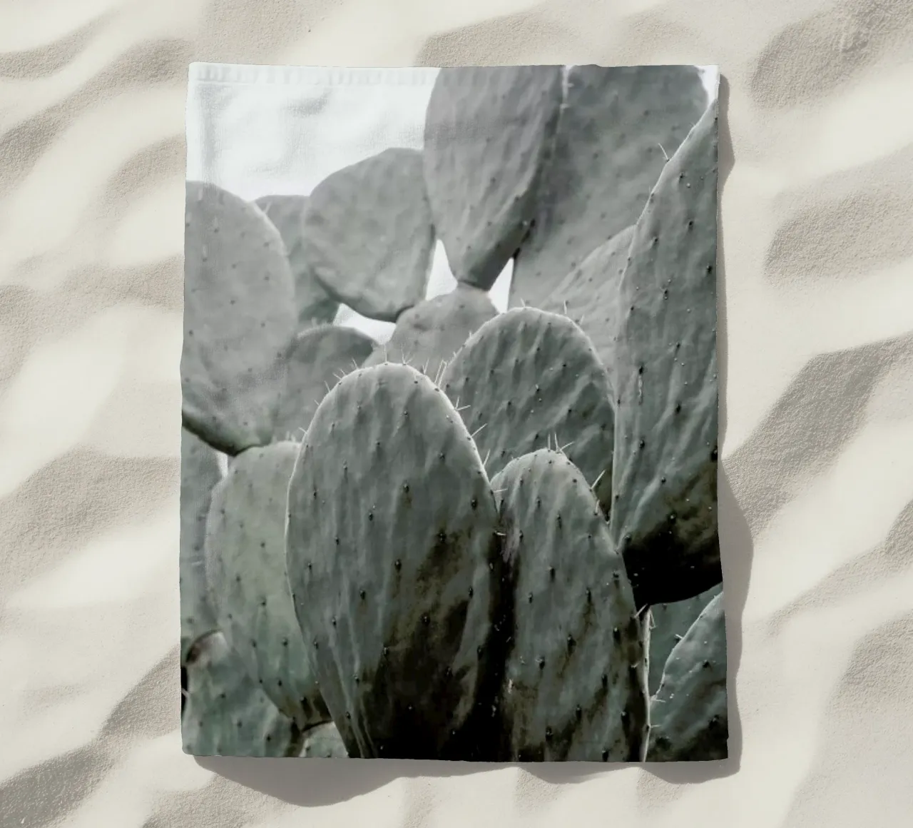 Wilder telo mare da Shot By Clint