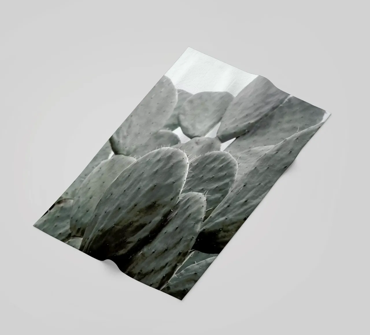 Wilder telo mare da Shot By Clint