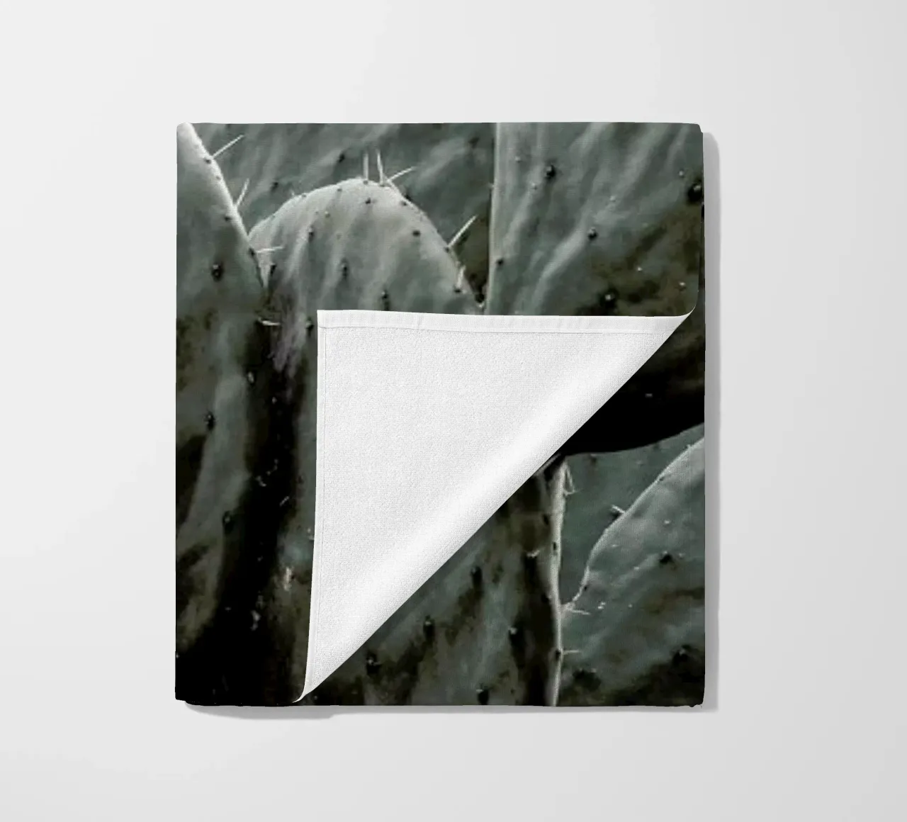 Wilder telo mare da Shot By Clint