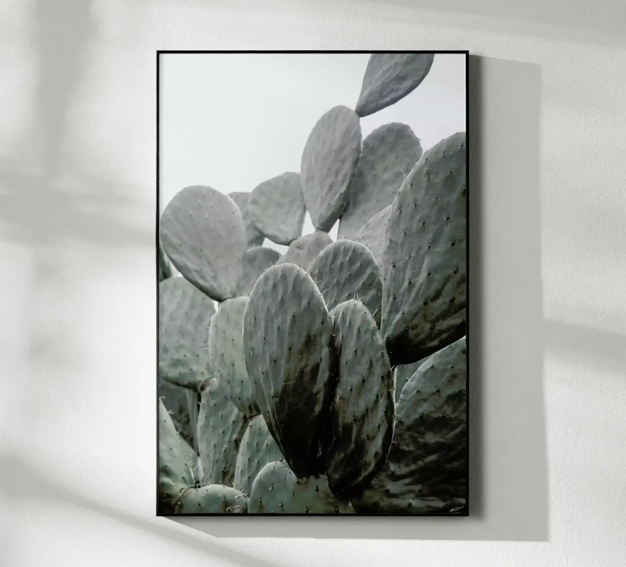 Wilder plexiglass da Shot By Clint