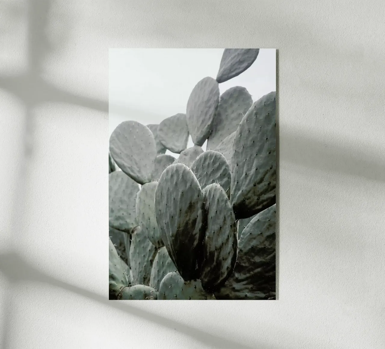 Wilder plexiglass da Shot By Clint