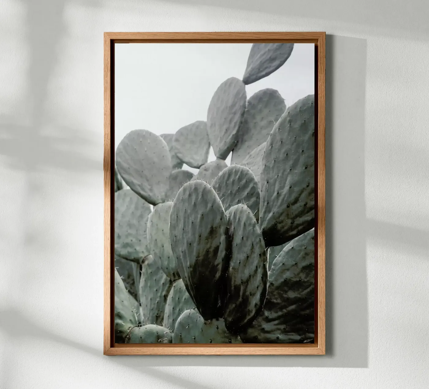 Wilder tela da Shot By Clint