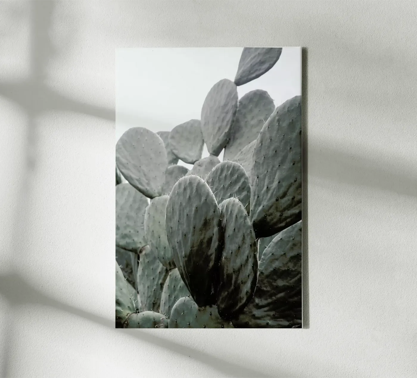 Wilder tela da Shot By Clint