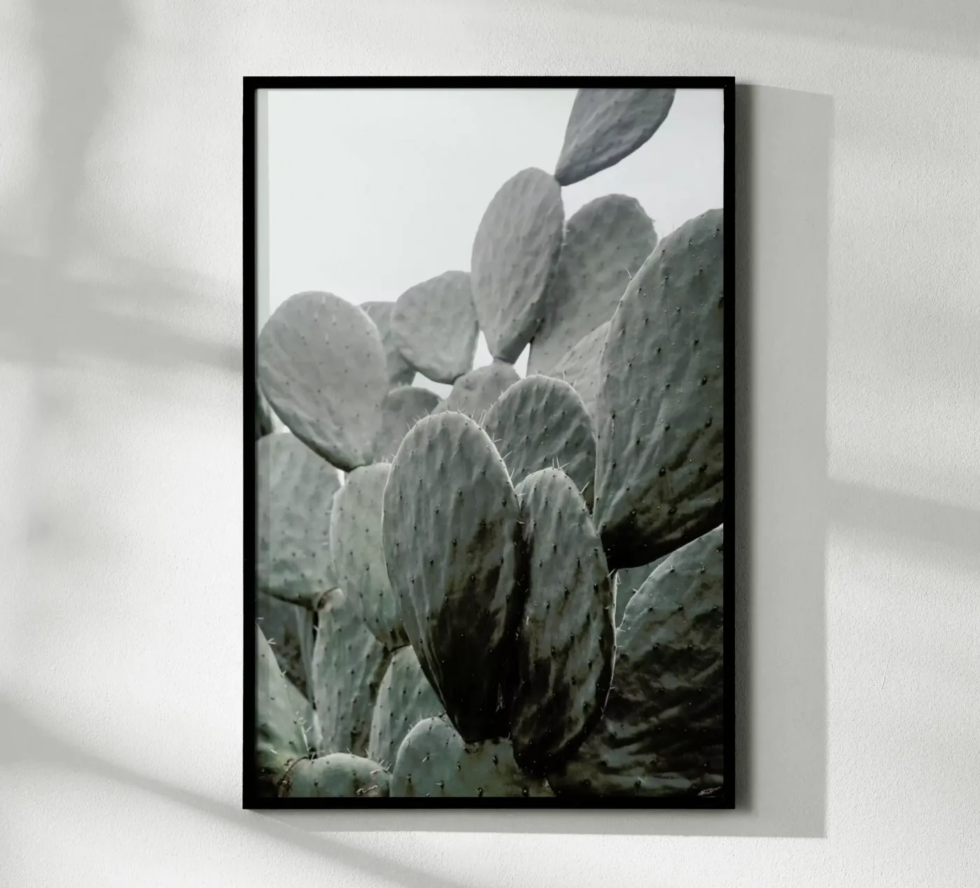 Wilder poster da Shot By Clint