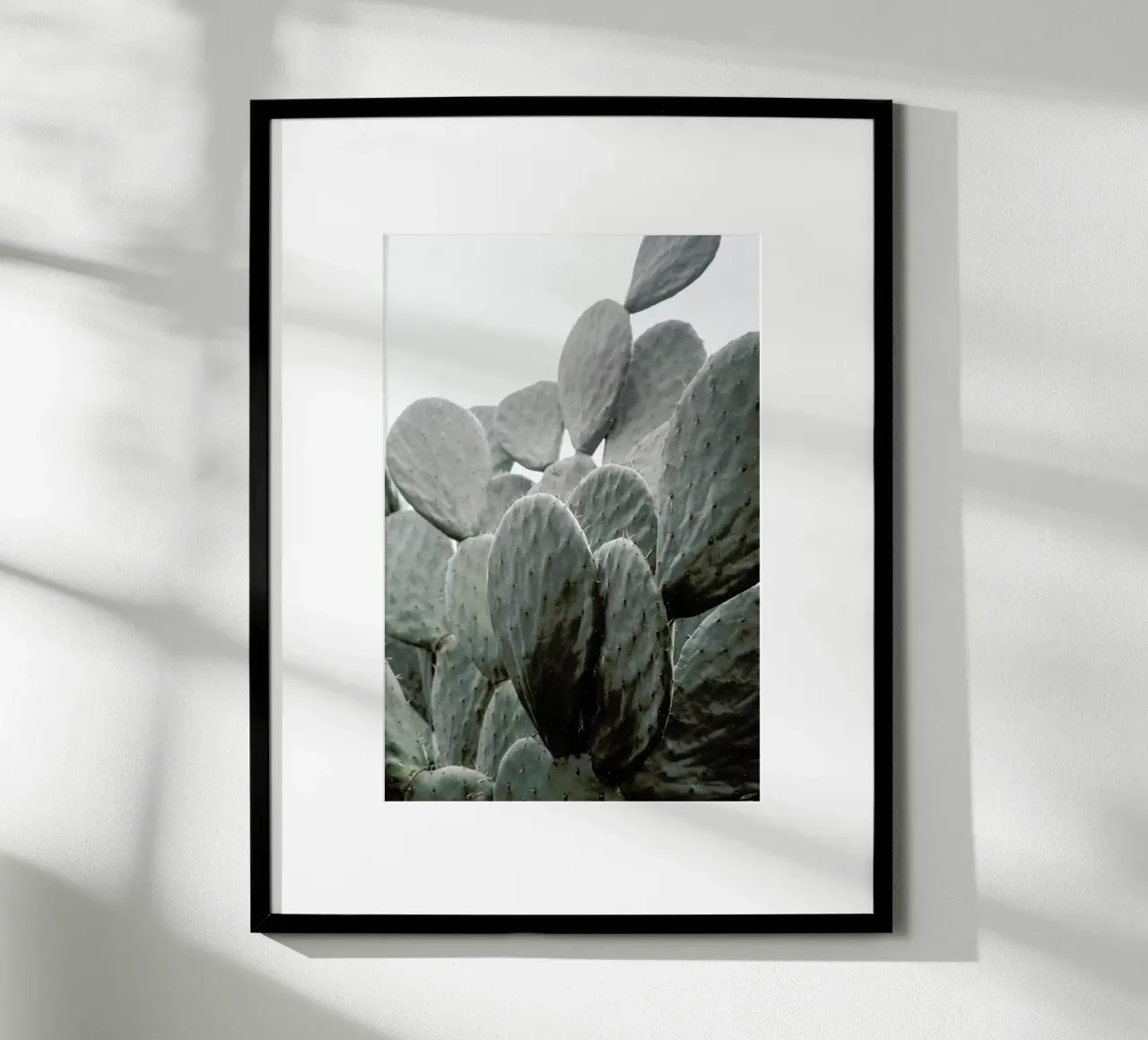 Wilder poster da Shot By Clint