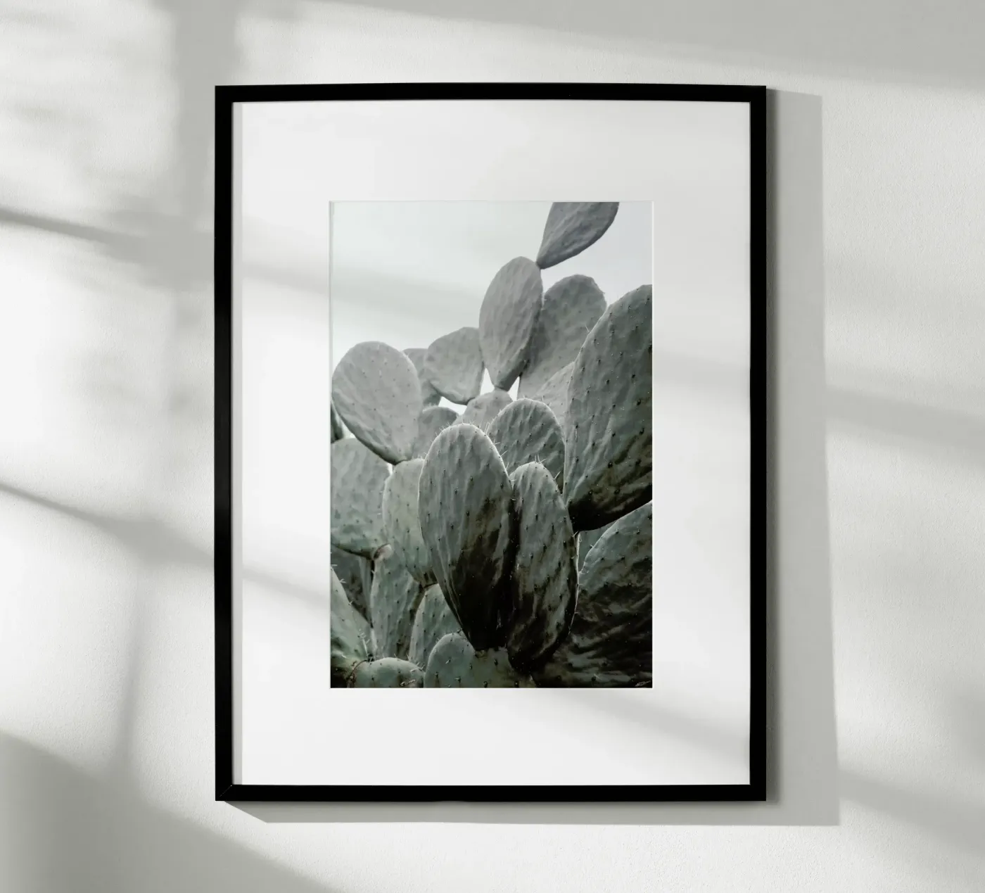 Wilder poster da Shot By Clint