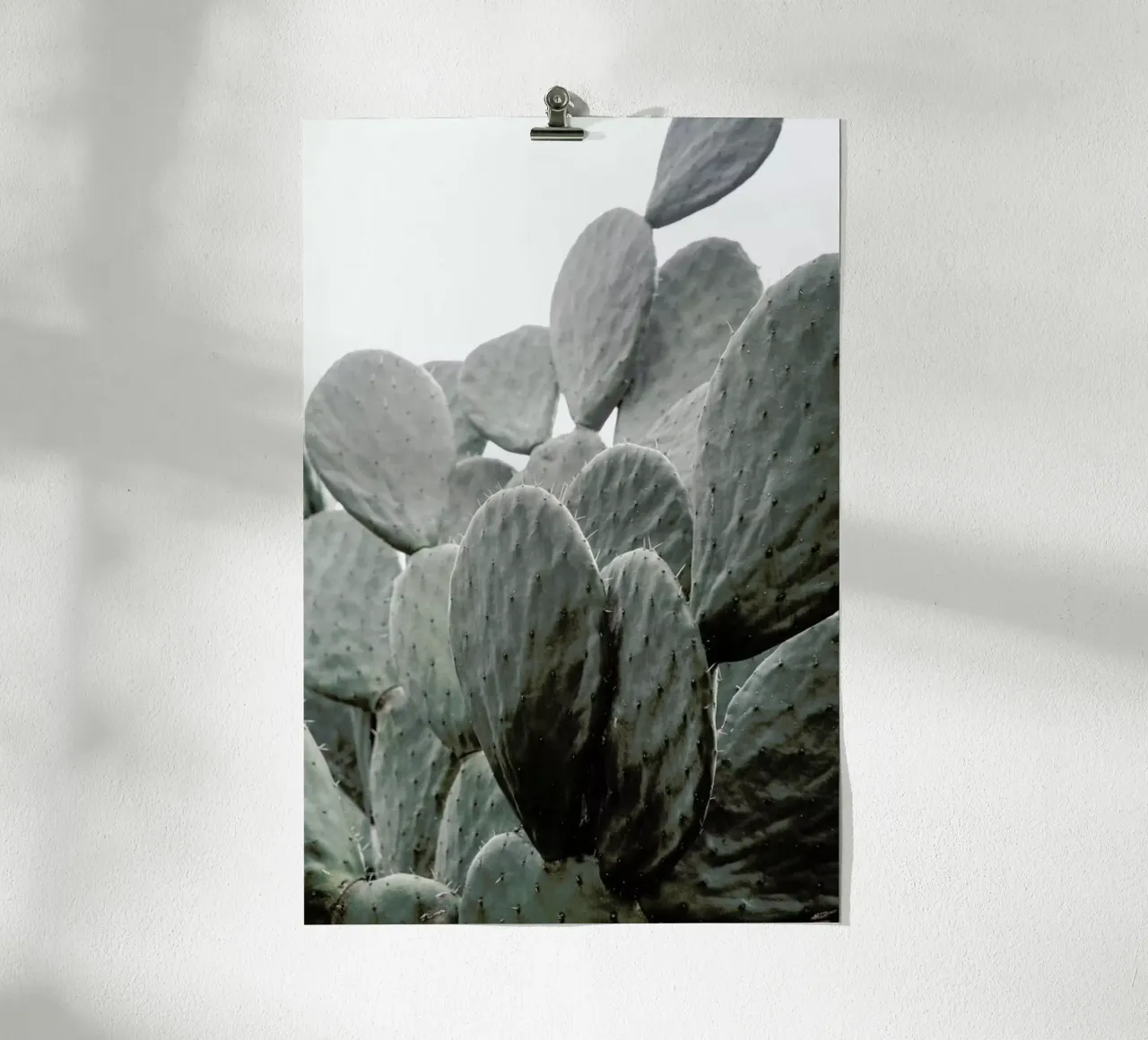 Wilder poster da Shot By Clint