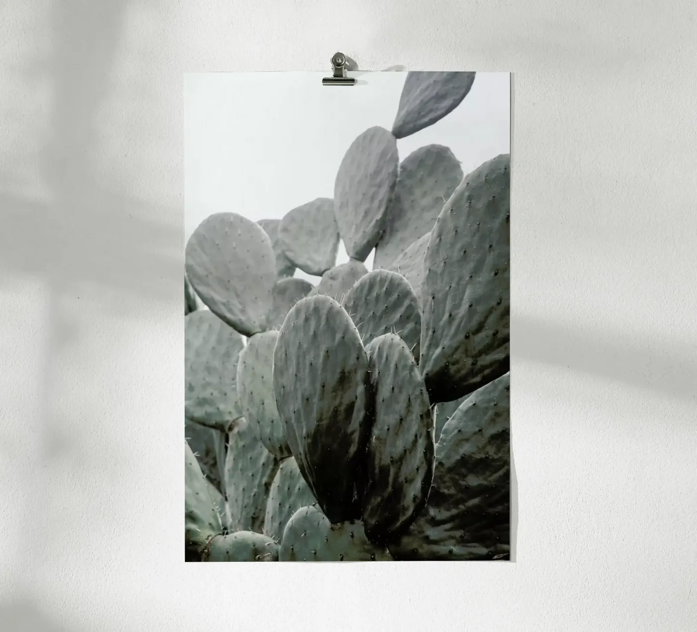 Wilder poster da Shot By Clint