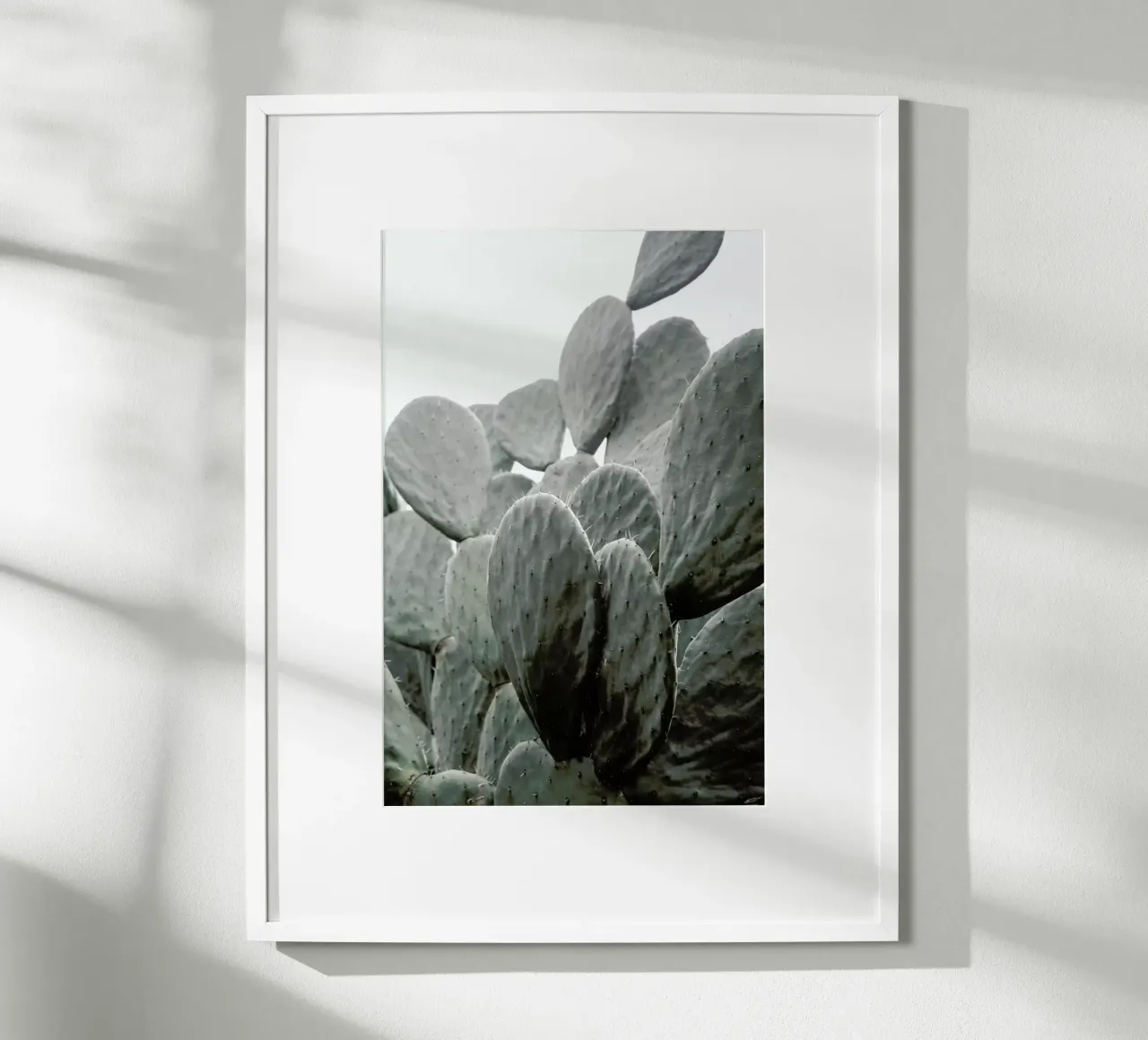 Wilder poster da Shot By Clint