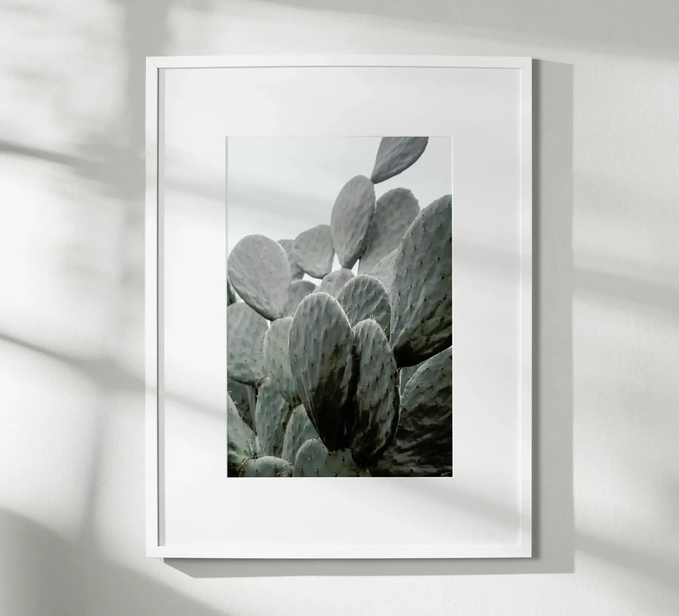 Wilder poster da Shot By Clint