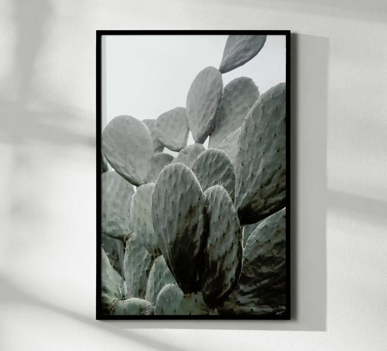 Wilder poster da Shot By Clint