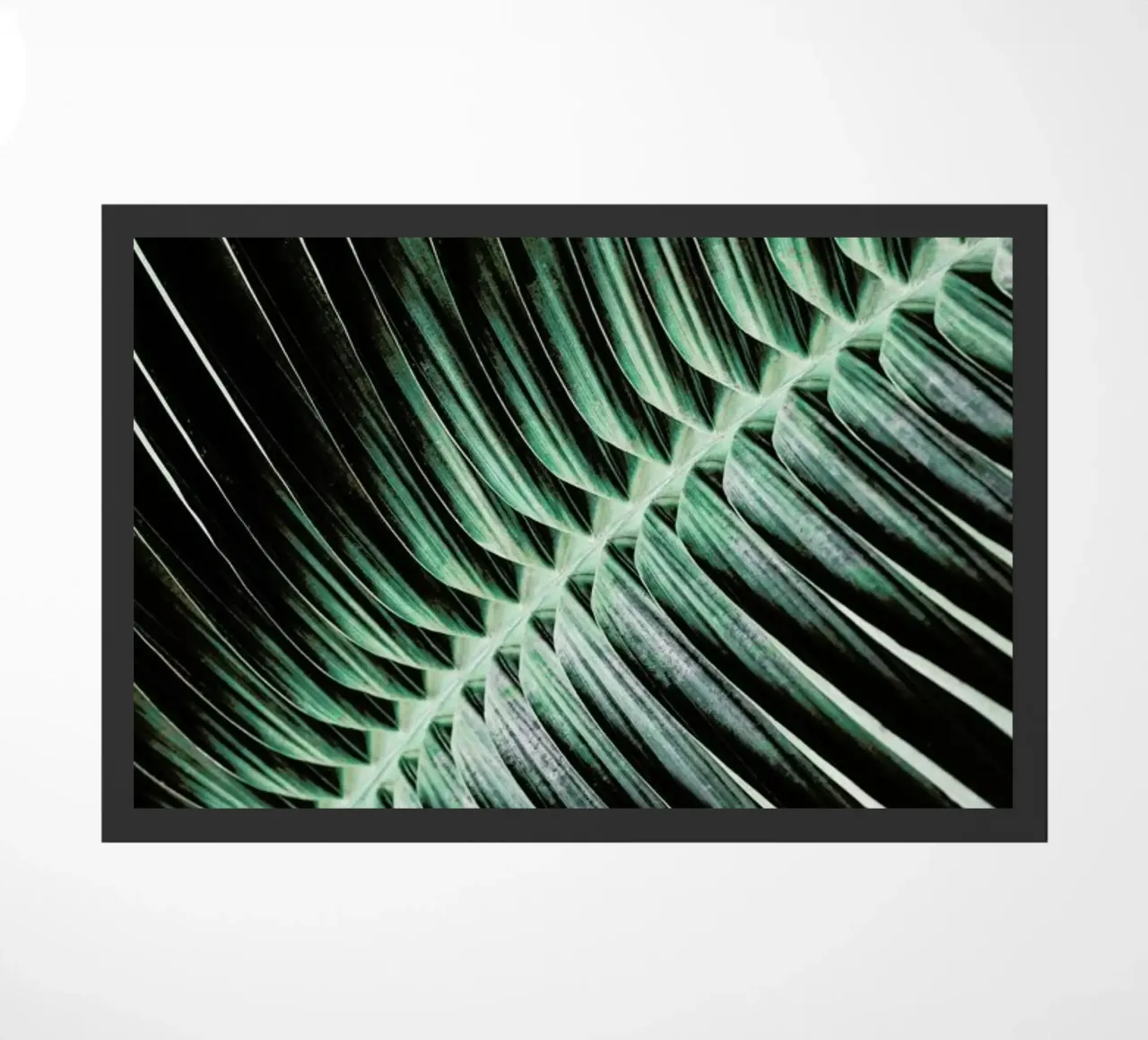 Curved Palm zerbino da Flora & Fauna