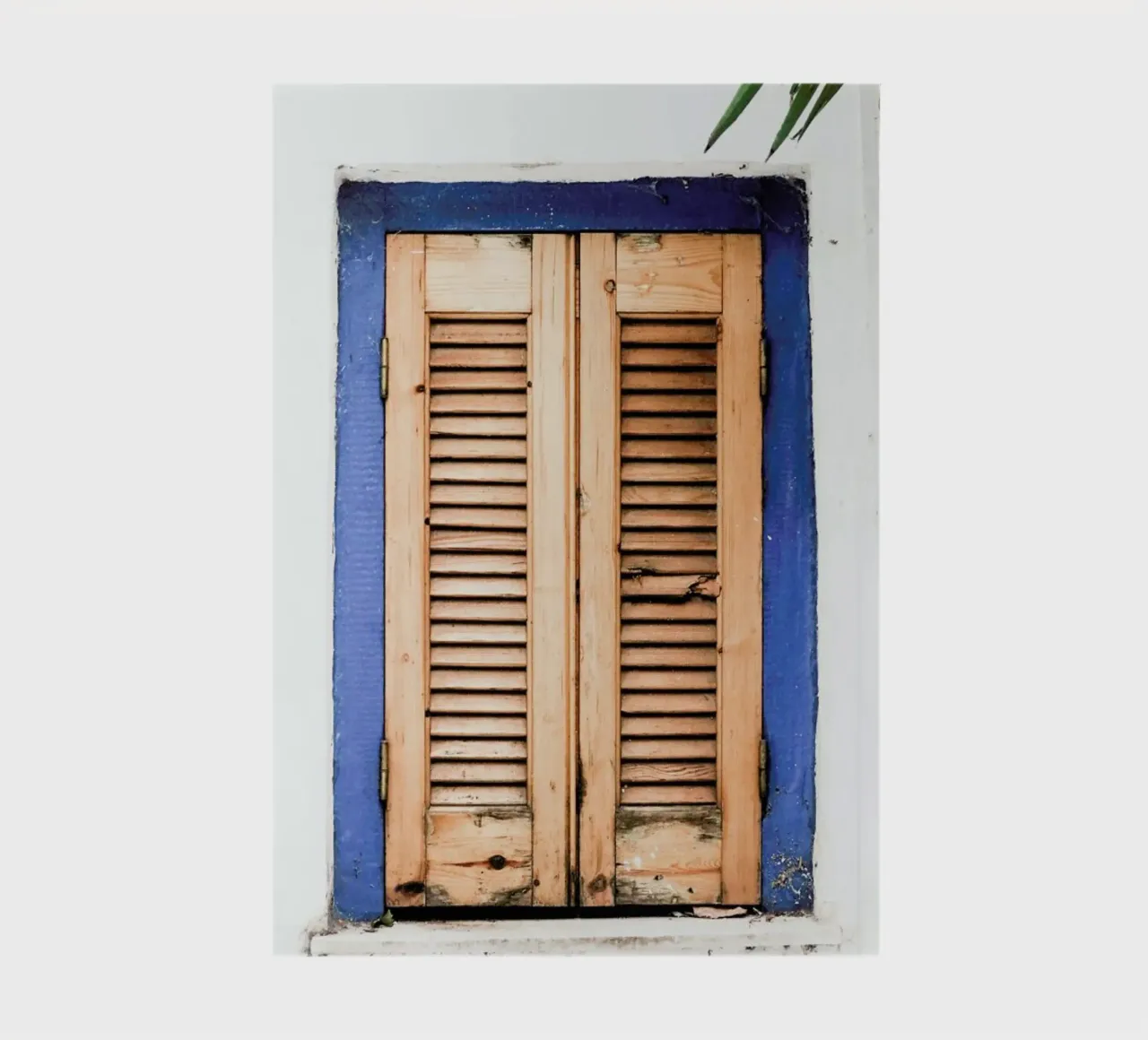 Minimalist Window Architecture Notizbuch von Babett Schultze