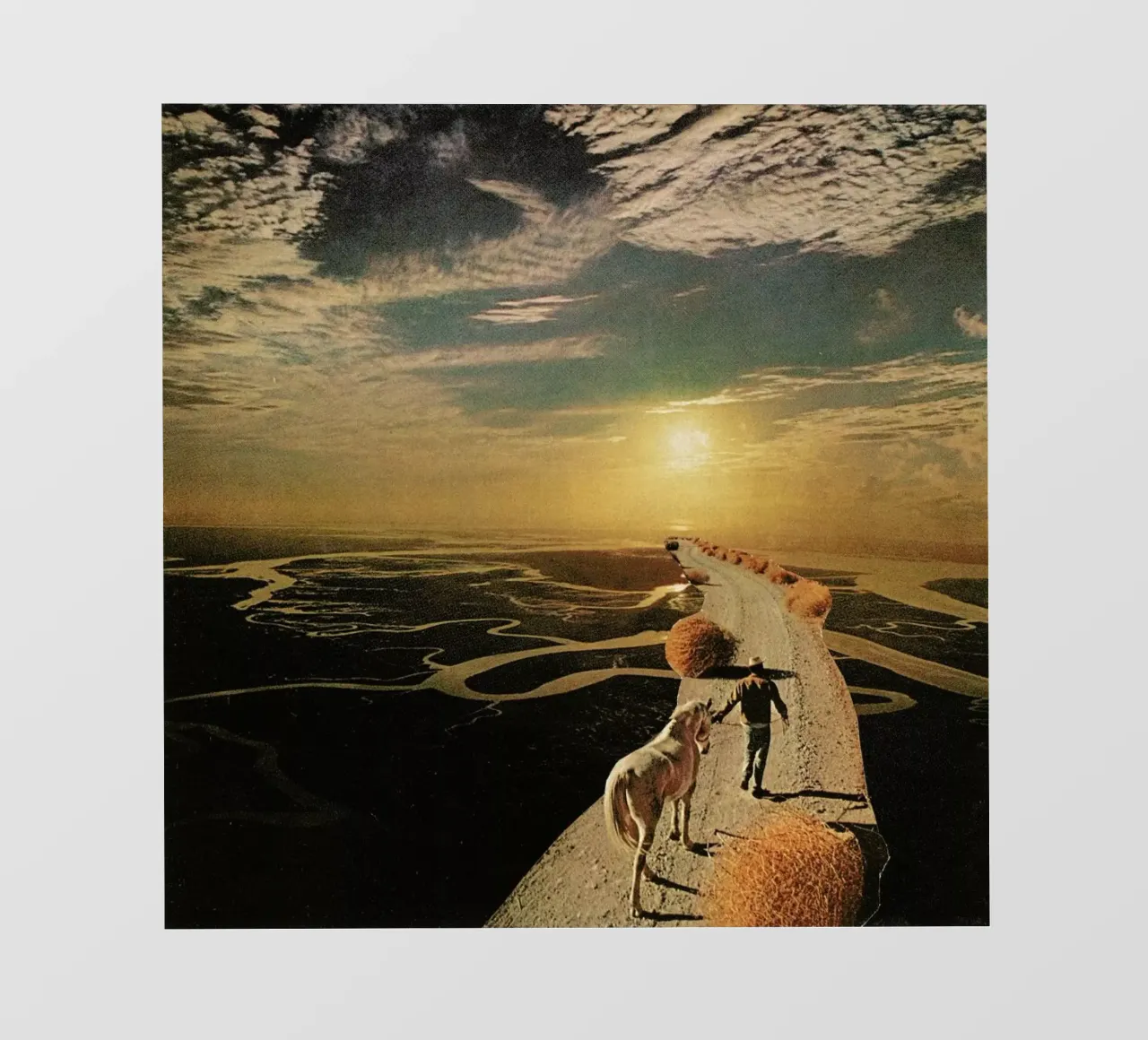 Unicorns Are Real telo in pvc da Jesse Treece