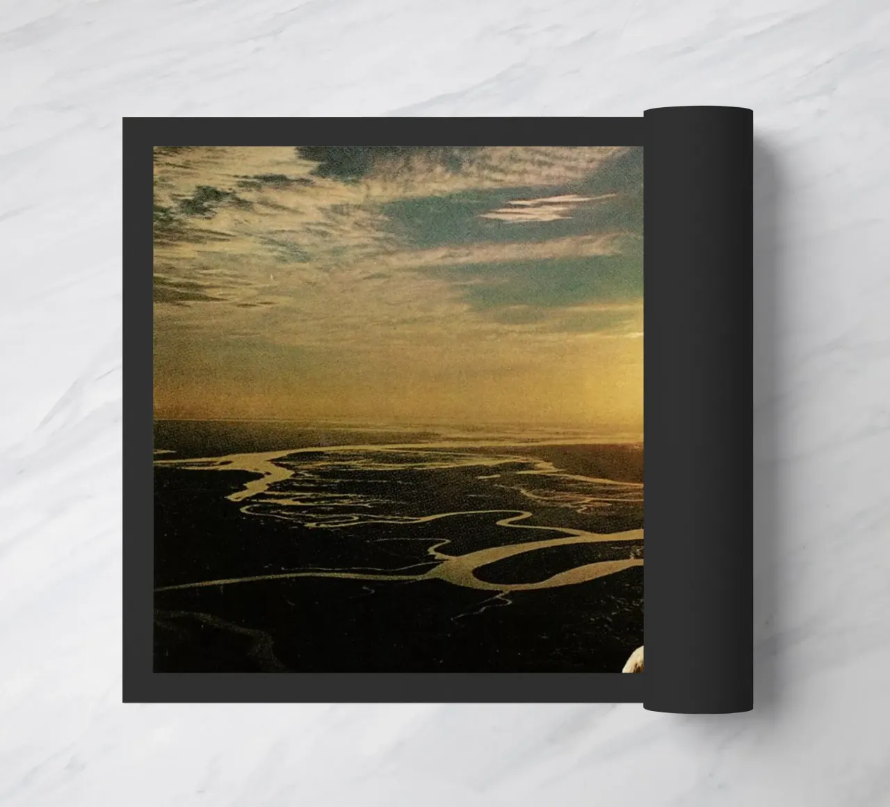 Unicorns Are Real zerbino da Jesse Treece