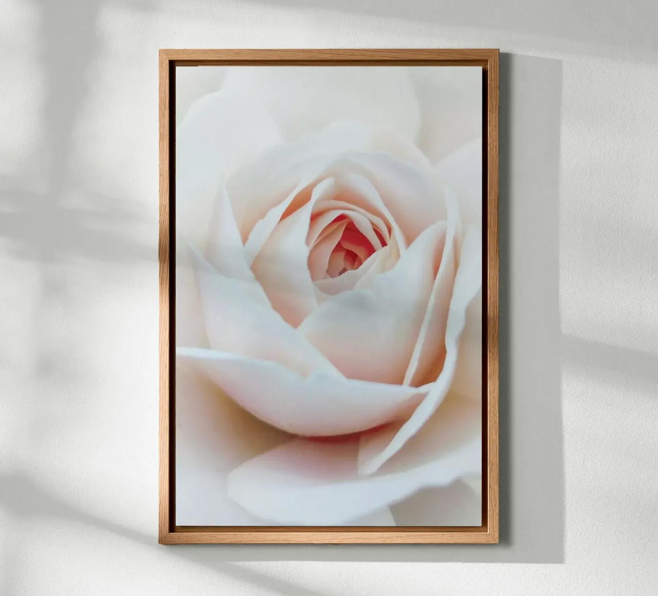 Petals in the Light tela con Cornice a cassetta da Flora & Fauna