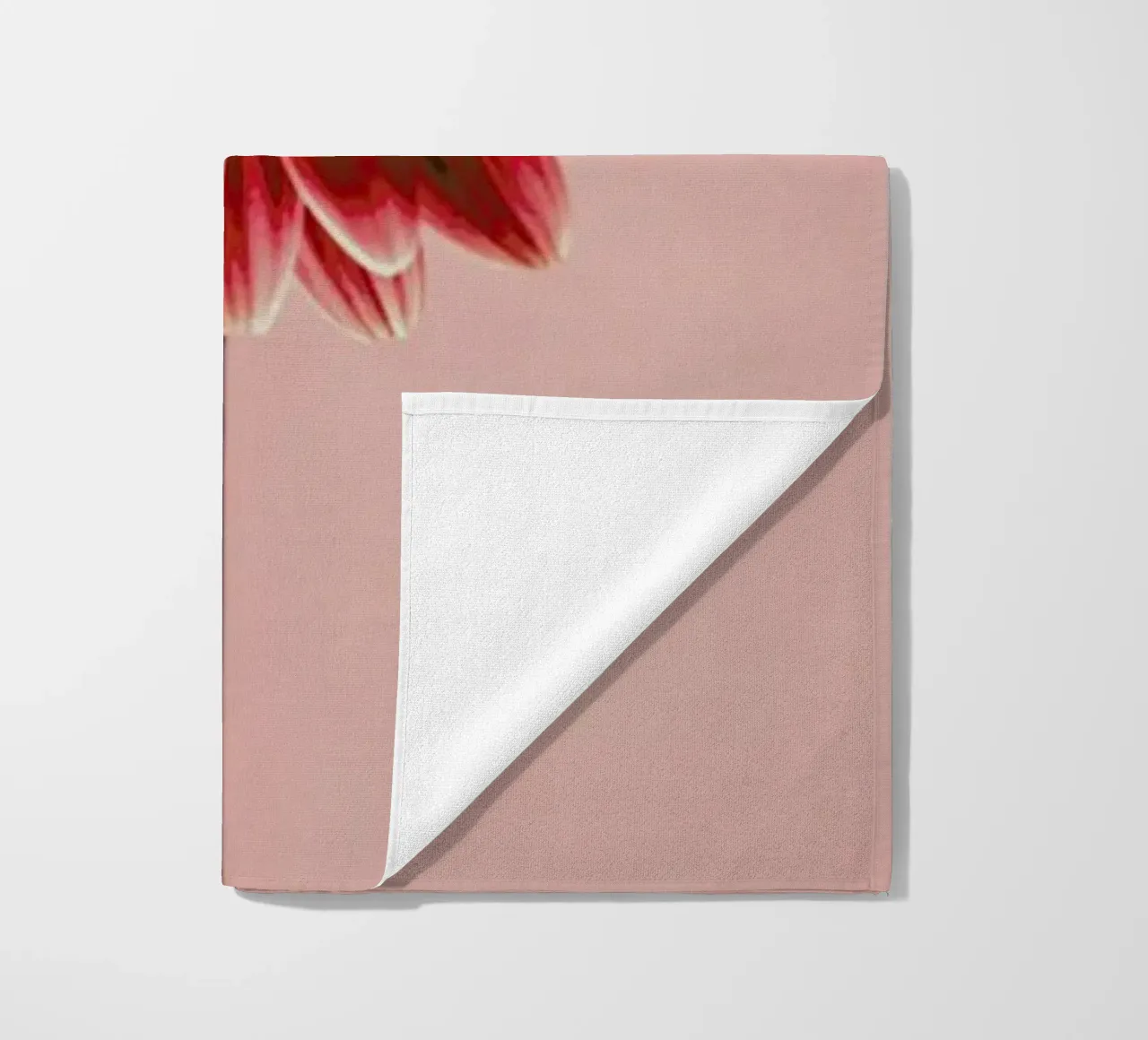 Red Barberton Daisy telo mare da Flora & Fauna