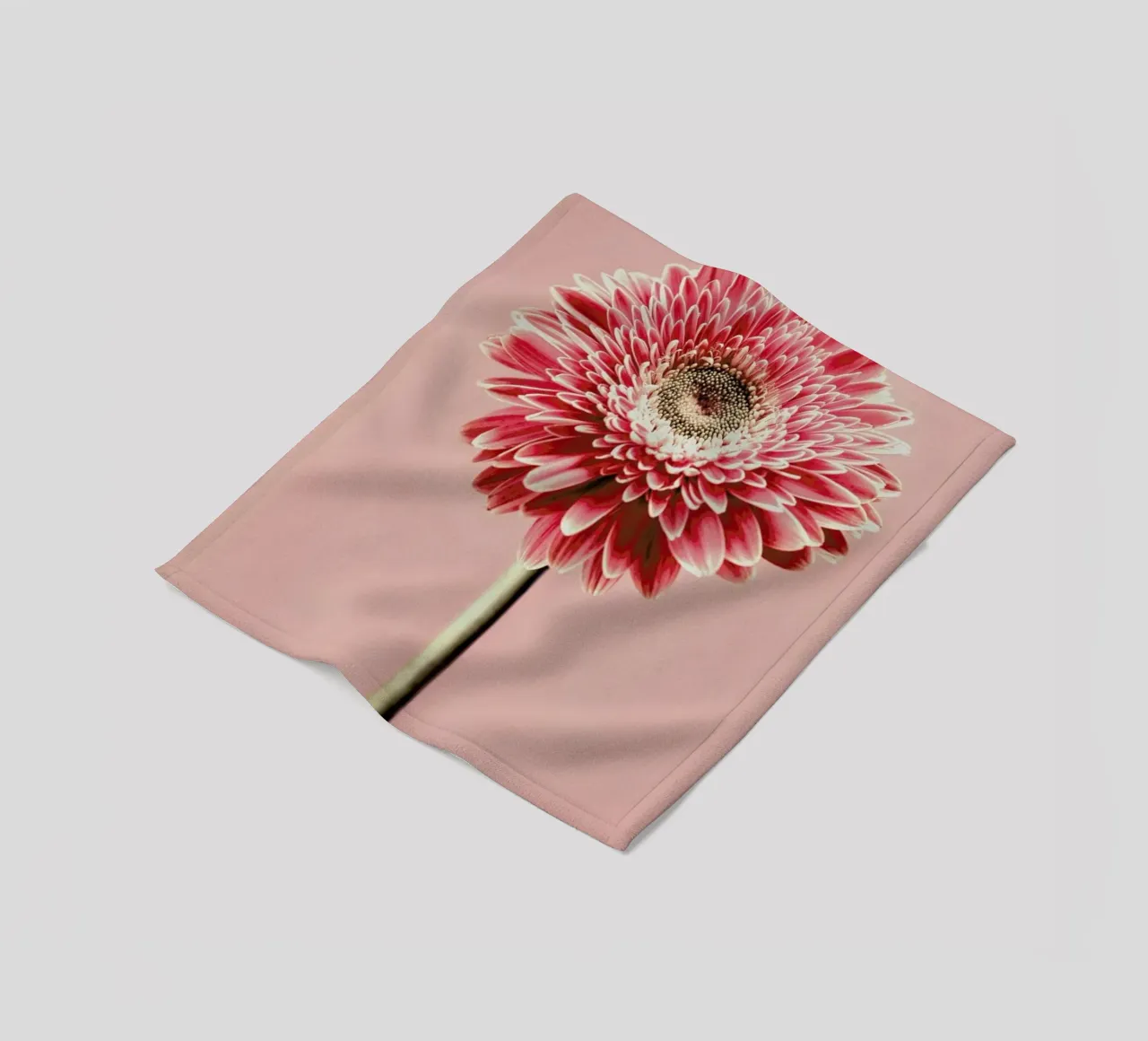 Red Barberton Daisy coperta in pile da Flora & Fauna