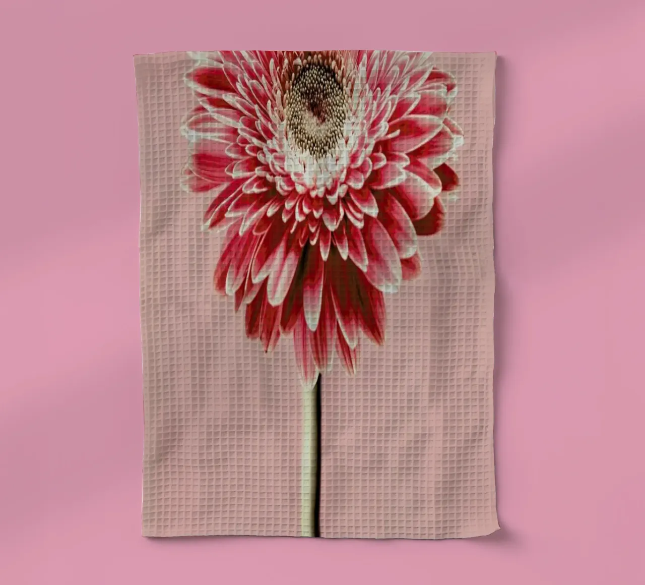 Red Barberton Daisy canovaccio da cucina da Flora & Fauna
