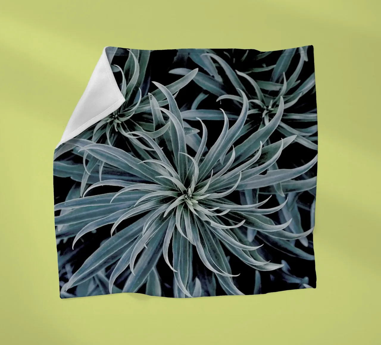 Star Lily coperta in pile da Flora & Fauna