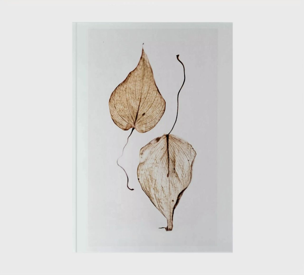 Delicate Leaves notebook by Flora & Fauna