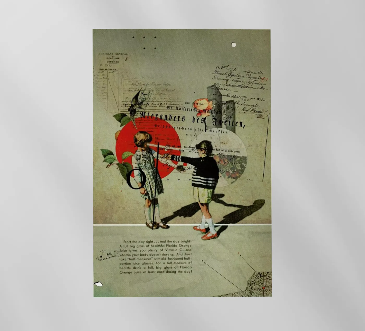 Oranges backlit film by Frank Moth