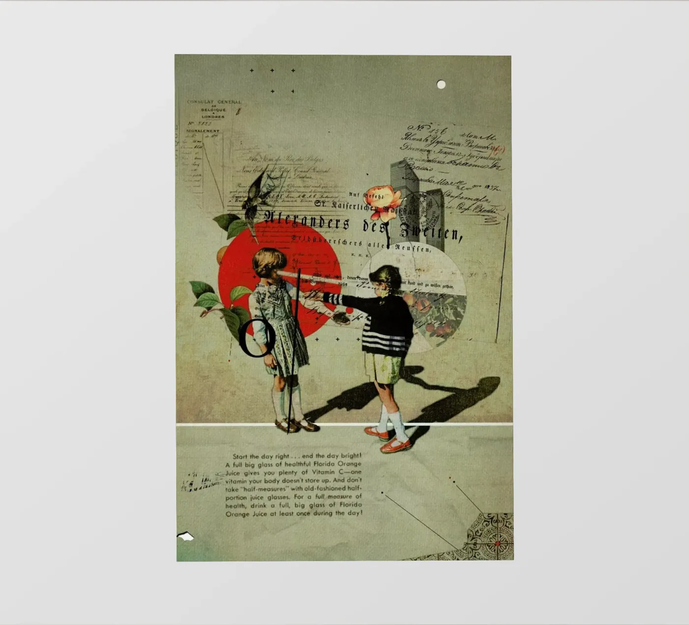 Oranges backlit film by Frank Moth