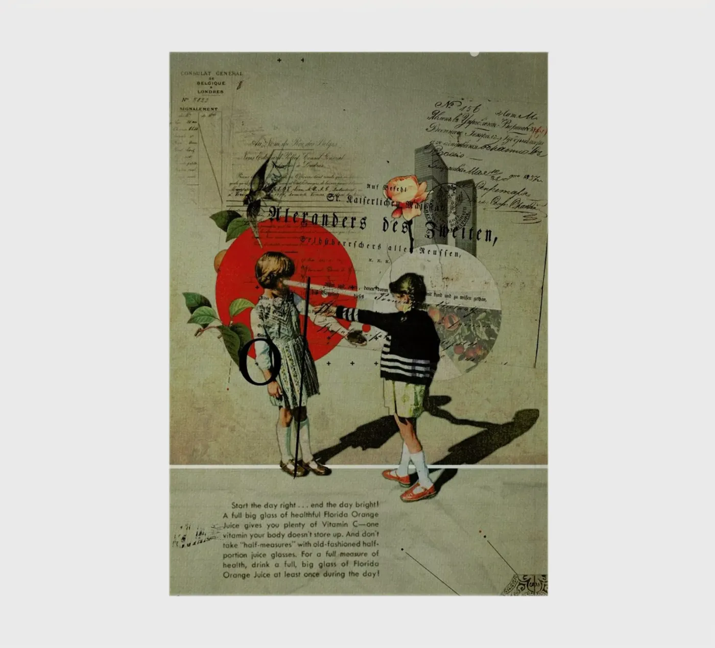 Oranges quaderno da Frank Moth