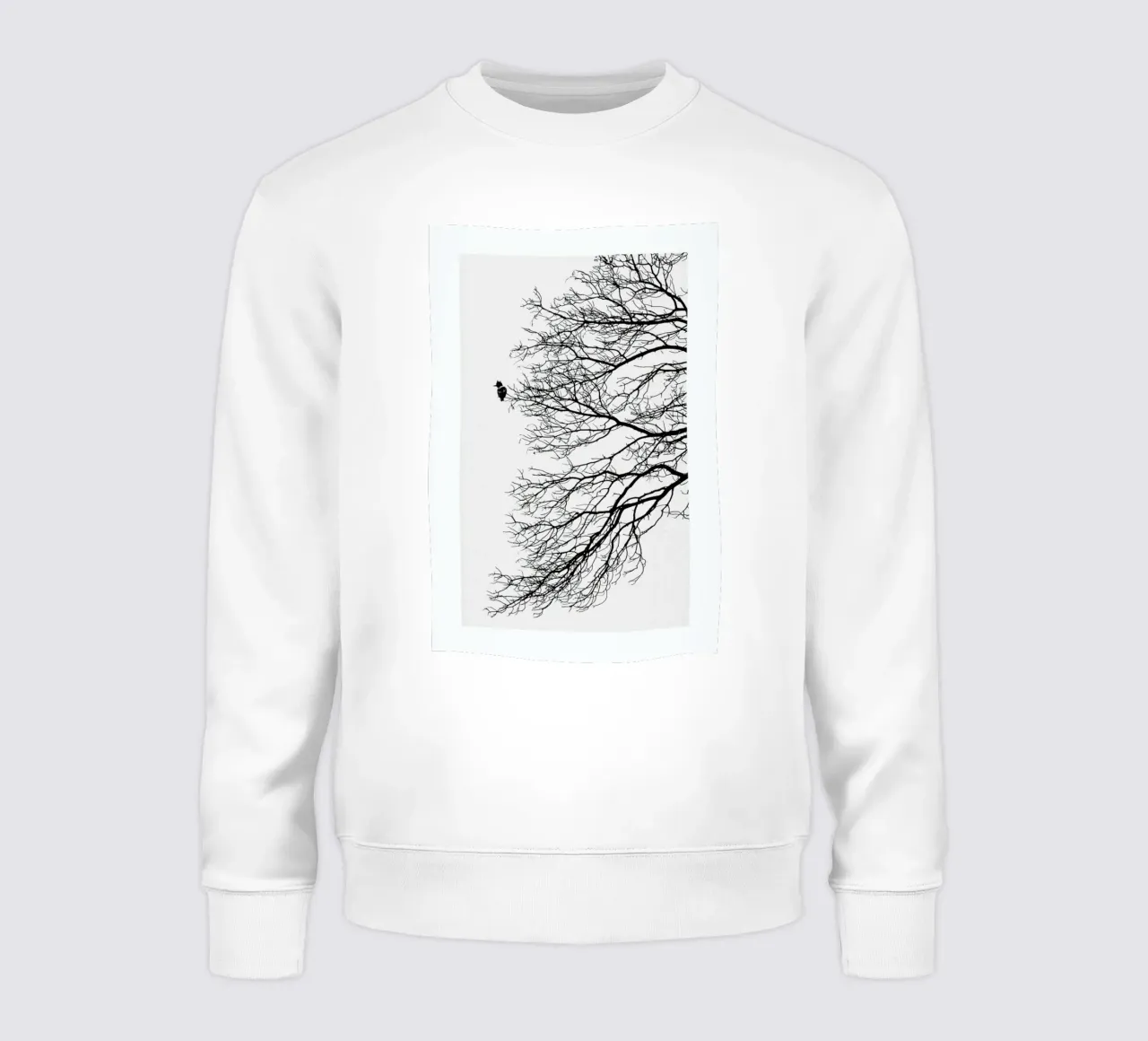 Winter Bird felpa da Flora & Fauna