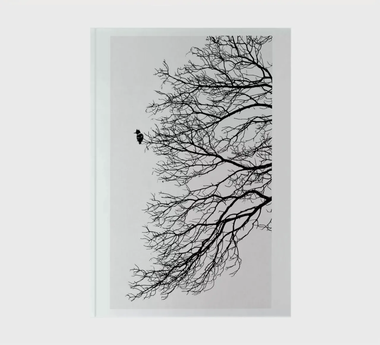 Winter Bird notebook by Flora & Fauna