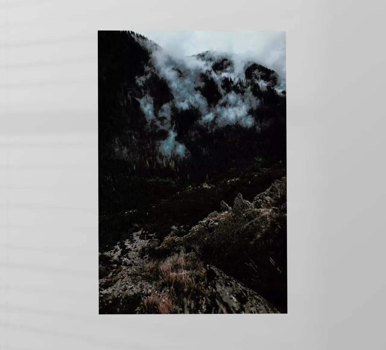 Trees and Clouds Backlit Folie von Sebastian Hilgetag