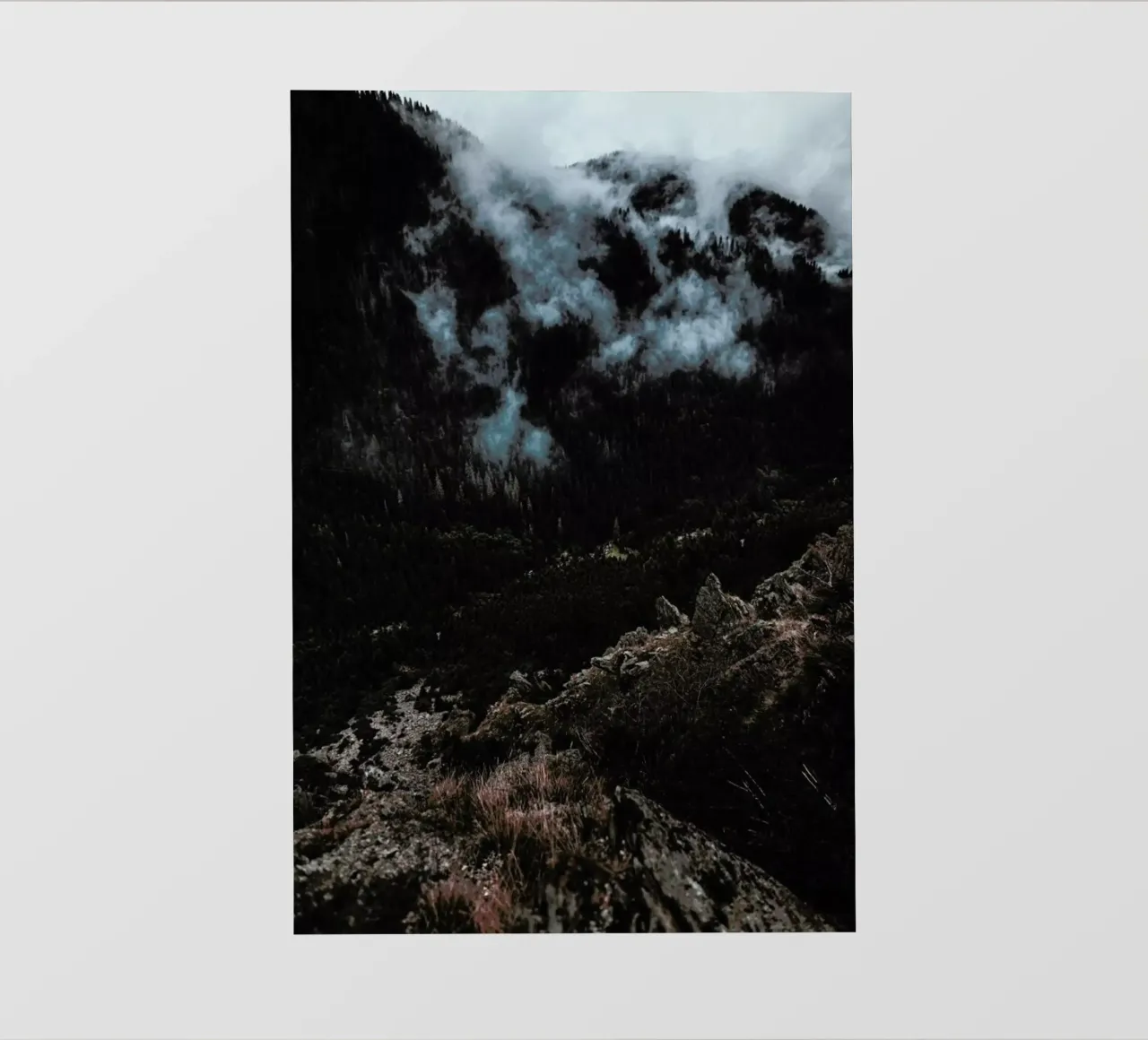 Trees and Clouds PVC Plane von Sebastian Hilgetag