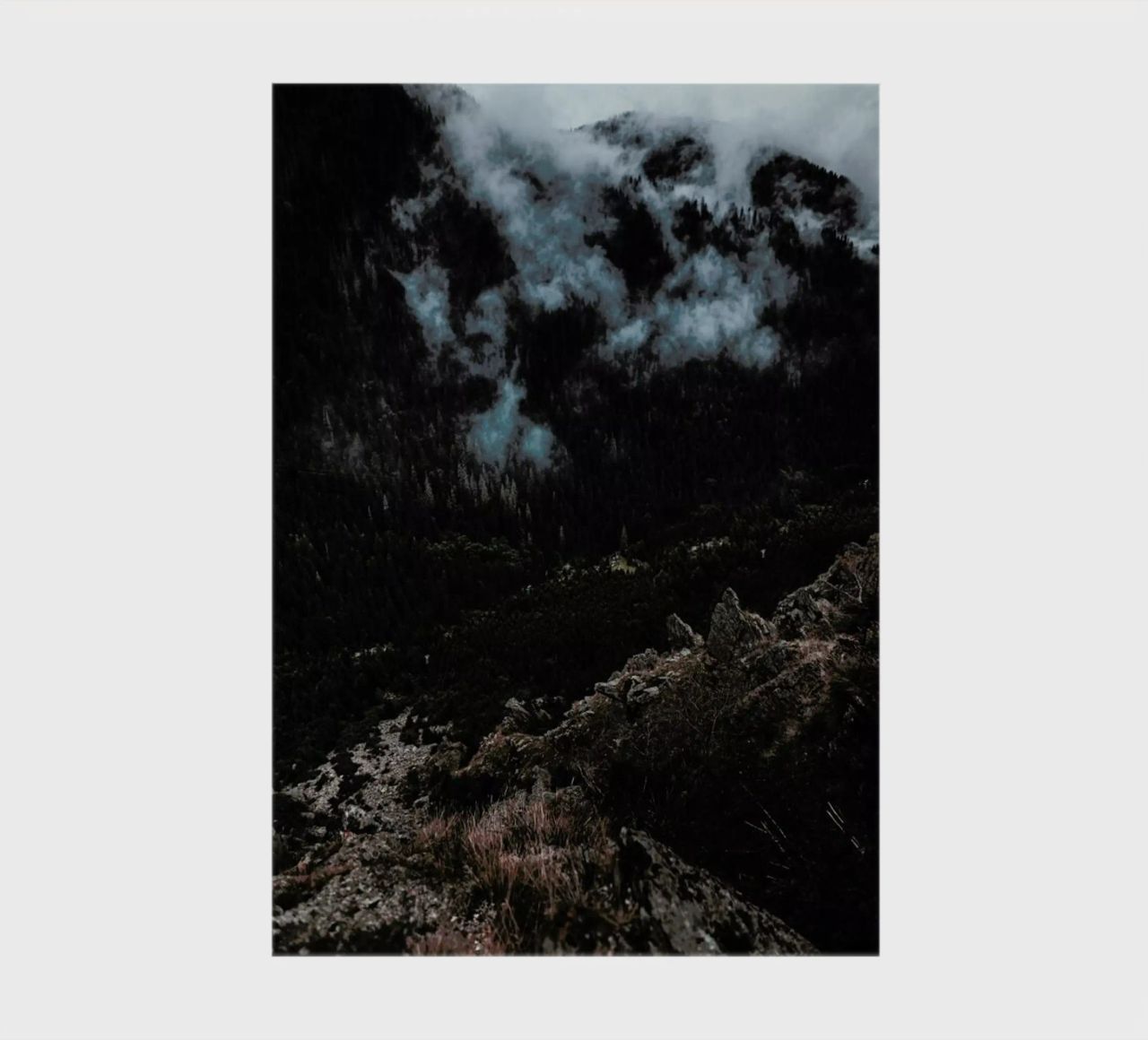 Trees and Clouds notebook by Sebastian Hilgetag