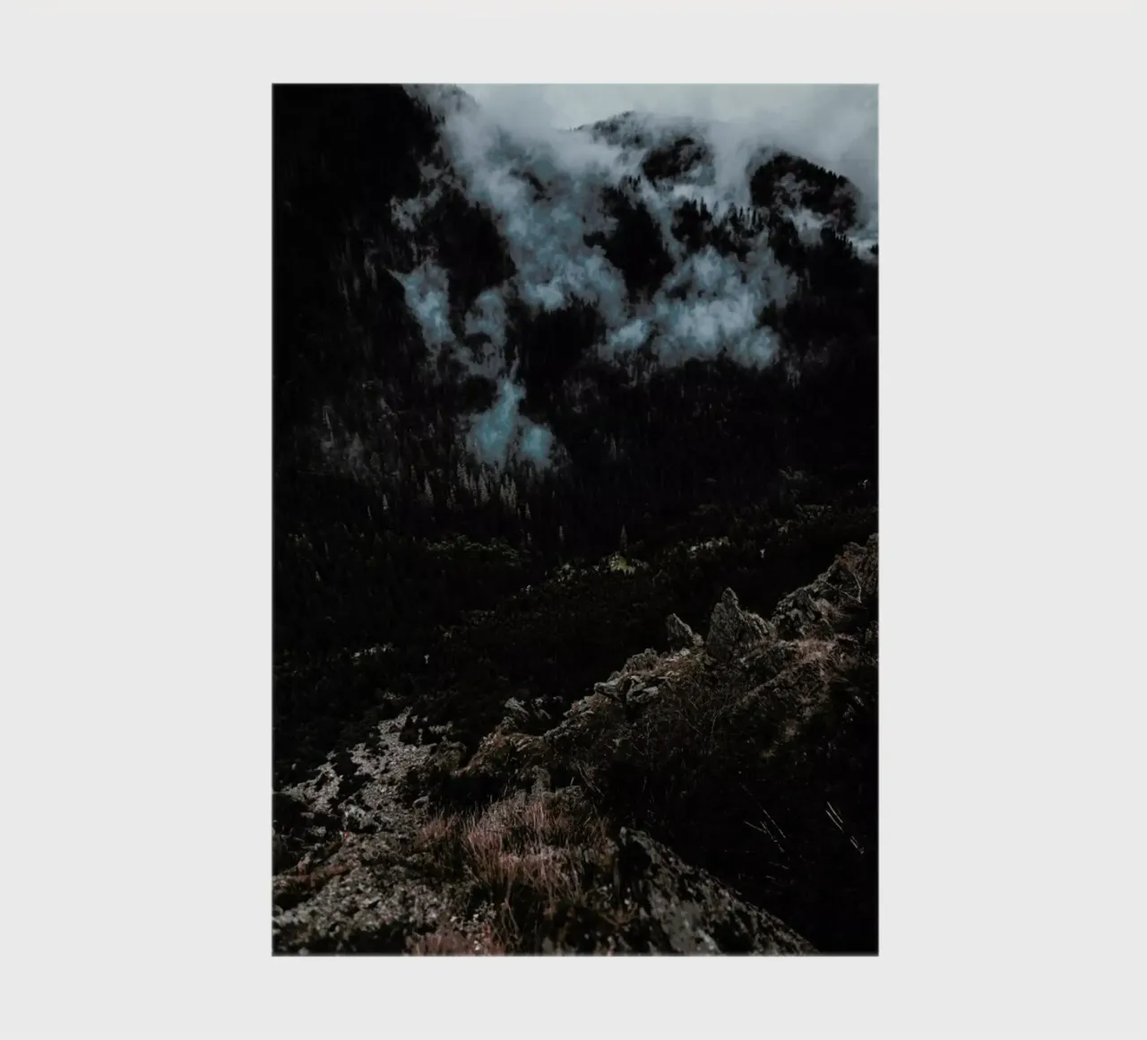 Trees and Clouds carnet de notes de Sebastian Hilgetag