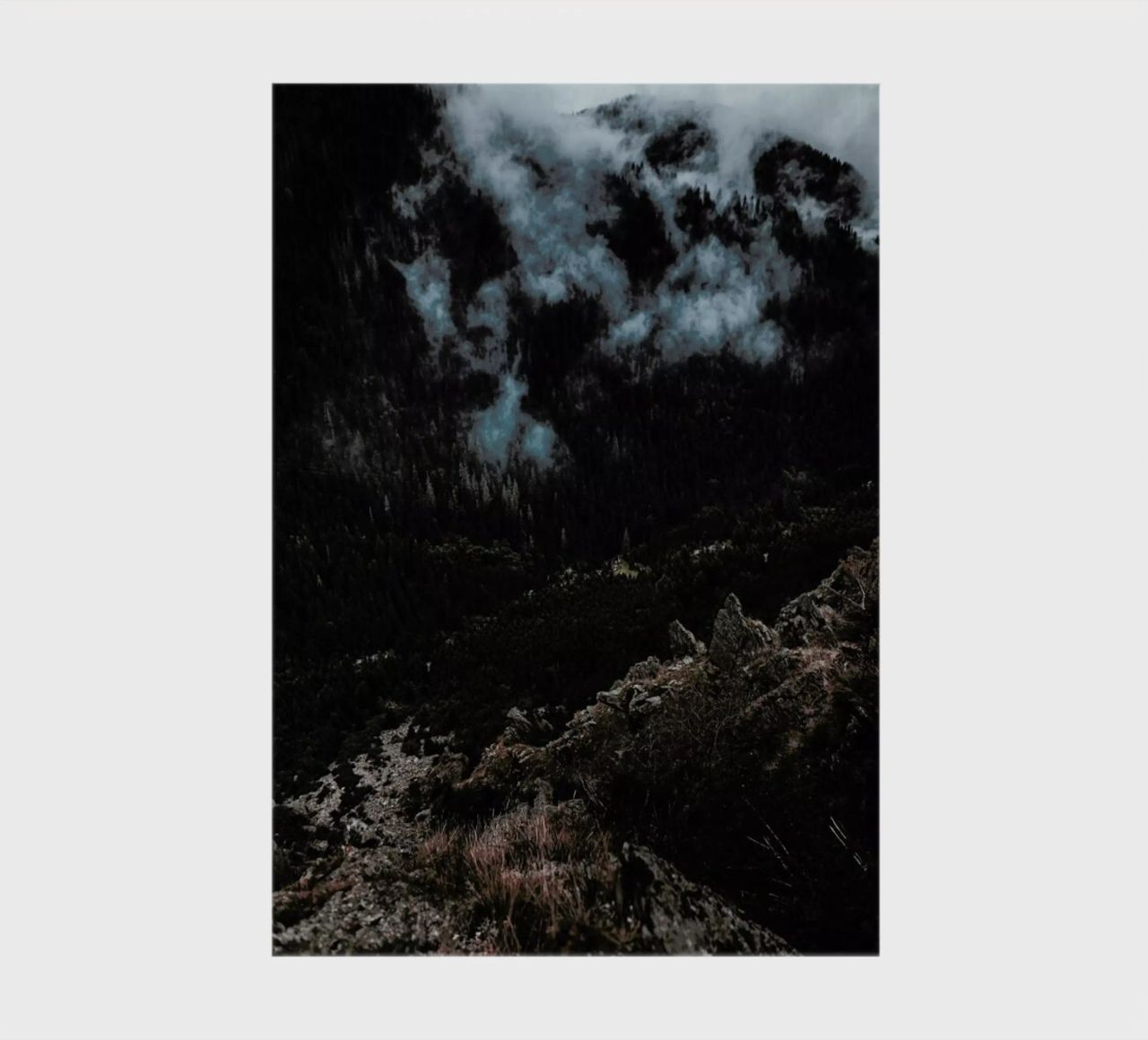Trees and Clouds notebook by Sebastian Hilgetag